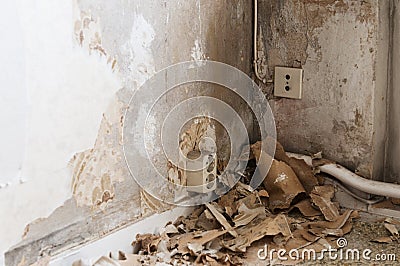 Renovating at home Stock Photo