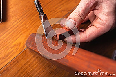 Repair and restoration of wooden furniture. master closes a scratch on the table leg Stock Photo