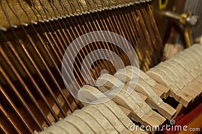 Repair of a stringed musical instrument. Inside view of a piano with brass metal strings and a wooden mallet. A musical Stock Photo