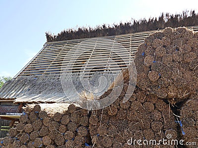 Repair of the thatched roof of an old farmhouse in Germany, Schleswig-Holstein Stock Photo