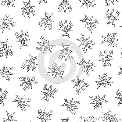 Vector seamless pattern of black and white insects Vector Illustration