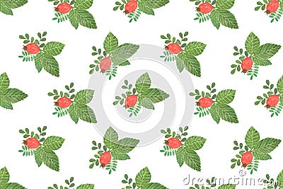 Repeat pattern of watercolor flower composition of red rosehip berries with green leaves Cartoon Illustration