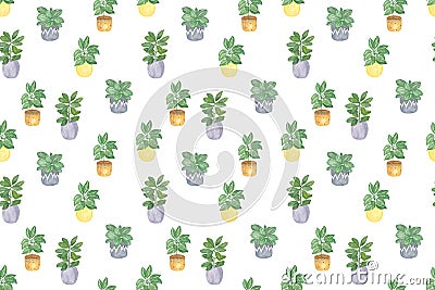 Repeat pattern of watercolor houseplants in colorful flowerpots, hand drawn illustration of homeplants on the white background, Cartoon Illustration