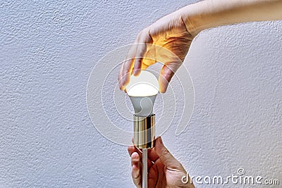 Replacing Electric Light Bulb in Ceiling Lighting Fixture, repairman changes lamp in chandelier. Stock Photo