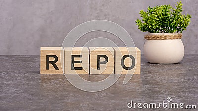 REPO concept on wooden cubes and flower in a pot in the background Stock Photo