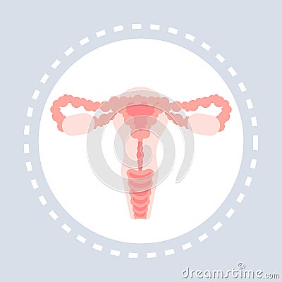 Reproductive system anatomy female uterus, cervix, ovary, fallopian tube icon healthcare medical service logo medicine Vector Illustration