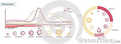 Reproductive system concept Vector Illustration