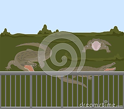 Reptile animals dangerous crocodiles wild predator alligators vector illustration. Vector Illustration