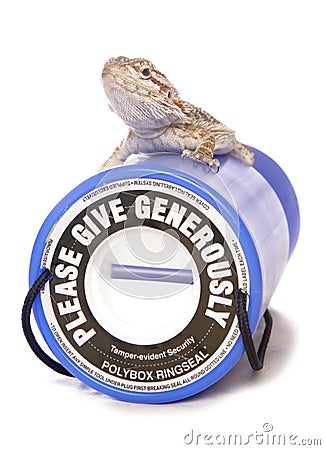 Reptile charity donations Stock Photo