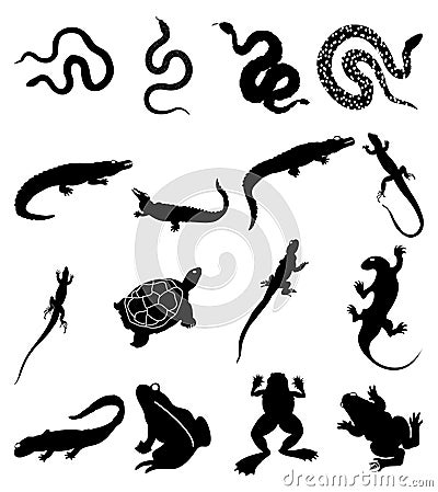 Reptile icons set Vector Illustration