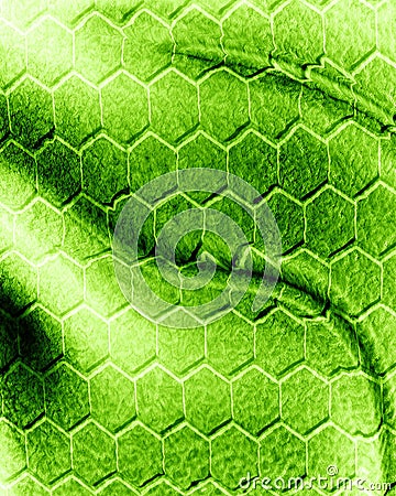 Reptile skin Stock Photo