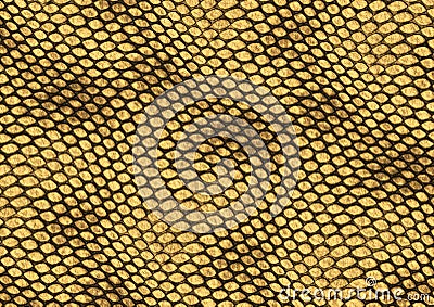 Reptile skin texture background Cartoon Illustration