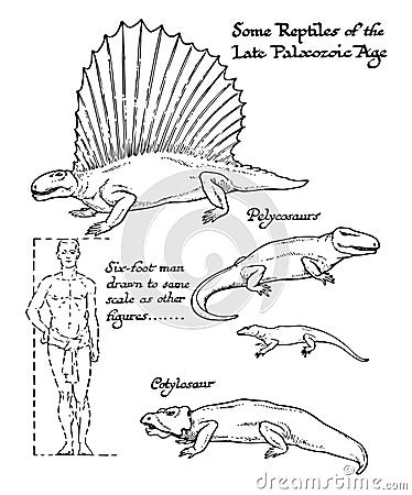 Reptiles of the late Paleozoic age, vintage illustration Vector Illustration