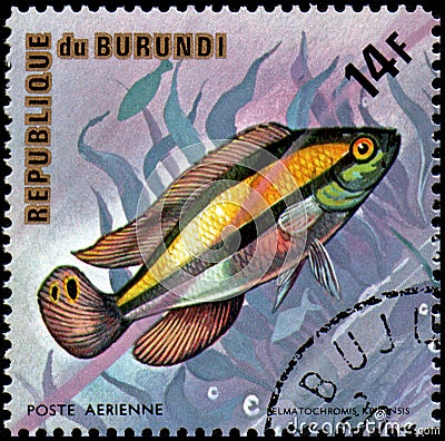 REPUBLIC OF BURUNDI - CIRCA 1974: postage stamp, printed in Burundi, shows a fish Kribensis Cichlid Pelmatochromis kribensis Editorial Stock Photo