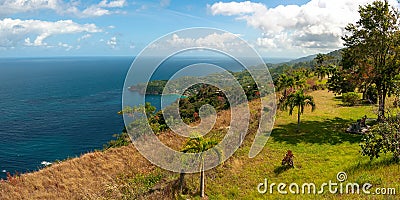 Republic of Trinidad and Tobago - Tobago island - Castara bay and flowers - Caribbean sea Stock Photo