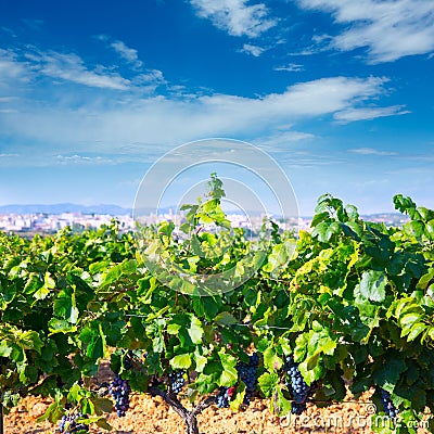 Requena in Valencia province a wine region of Spain Stock Photo