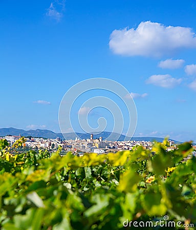 Requena in Valencia province a wine region of Spain Stock Photo