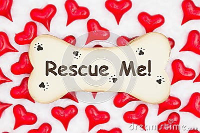 Rescue me message on a wood dog bone with paw print with red hearts on white fabric Stock Photo