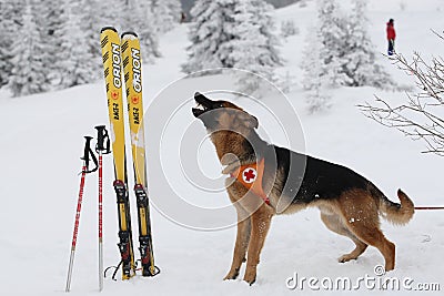 Rescuer from the Mountain Rescue Service at Bulgarian Red Cross Editorial Stock Photo