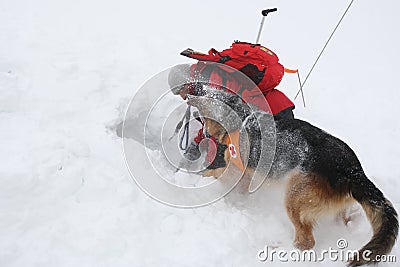 Rescuer from the Mountain Rescue Service at Bulgarian Red Cross Editorial Stock Photo