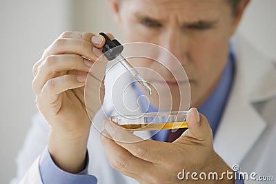 Research and Development Stock Photo