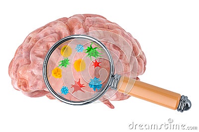 Research and diagnosis of brain diseases concept. Human brain with viruses and bacterias under magnifying glass, 3D rendering Stock Photo