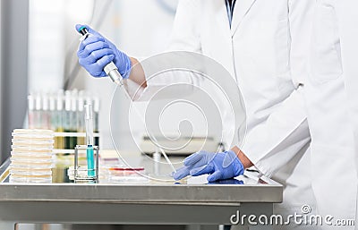 Research operator preparing samples in petri dishes Stock Photo