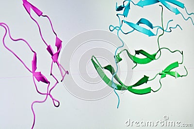 Research in the proteomics. Stock Photo