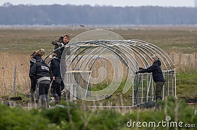 Research work on Oland Sweden Editorial Stock Photo