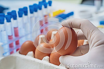 Researcher is holding egg in hand. Food inspection and analysis concept. Stock Photo