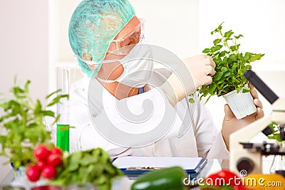 Researcher holding up a GMO vegetable Stock Photo