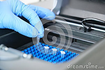 A researcher putting PCR tubes on the thermal cycler for DNA amplification Stock Photo