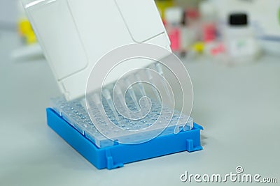 Researcher or scientific using a multichannel micropipette in a biotechnology laboratory Stock Photo