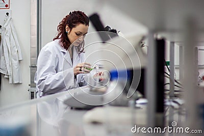 Researcher or scientist or doctoral student pours red and green Stock Photo