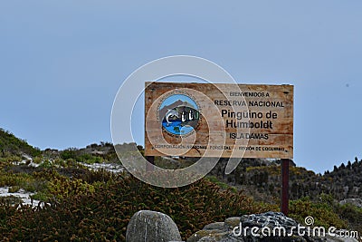 Reserva Nacional Pinguino de Humboldt Editorial Stock Photo
