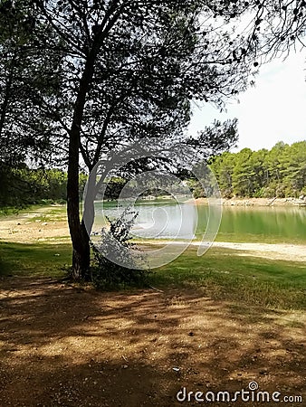 Reservoir practically dry with many pines Stock Photo