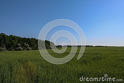 Reservoirs and field Stock Photo