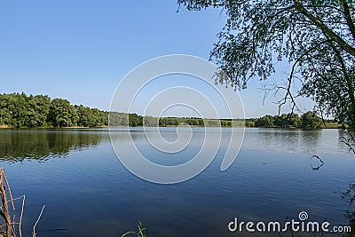 Reservoirs and field shelterbelts Stock Photo