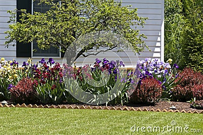 Residential Flower Garden Stock Photo