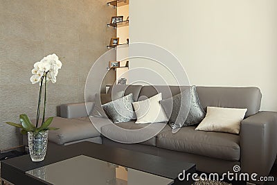 Residential interior of modern living room Stock Photo