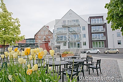 Residential modern building with tulips Editorial Stock Photo