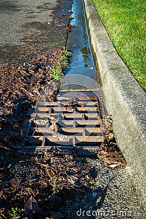 Residential storm drain on a sunny day, wet tree debris around drain, street and curb Stock Photo