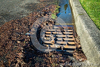 Residential storm drain on a sunny day, wet tree debris around drain, street and curb Stock Photo