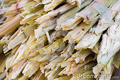 Residue of sugar cane Stock Photo