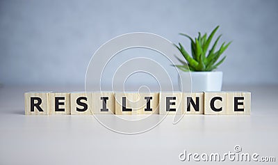 Resilience word concept on cubes on blue background. Stock Photo