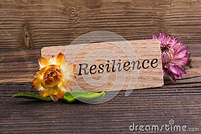 Resilience word Stock Photo