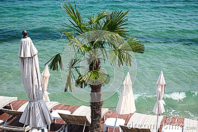 Resort near the sea with a palm tree and sun loungers. Beach holiday concept Stock Photo