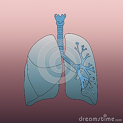 Respiratory system infographic on red background Stock Photo