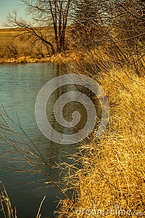 A Respite for Wild Ducks and Geese In Northeast Iowa Stock Photo