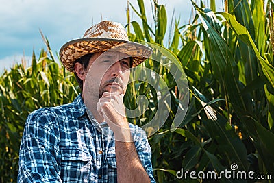 Responsible corn farmer in field thinking Stock Photo